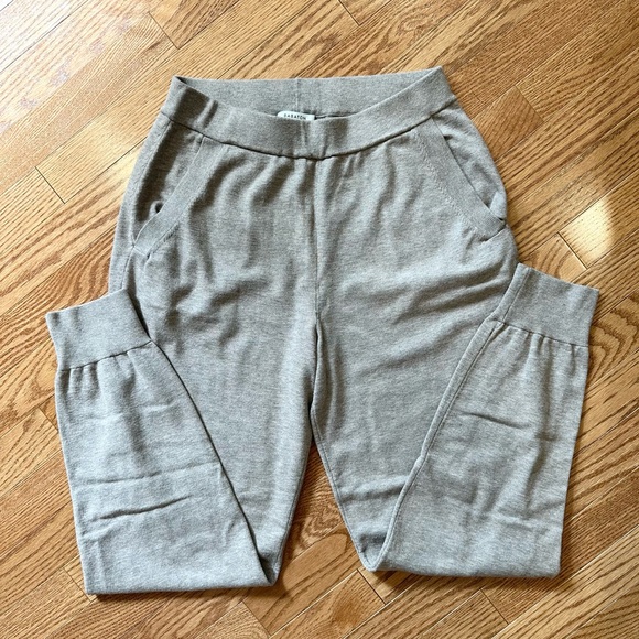Aritzia (BABATON) Rodin Jogger Lounge Pants - Picture 1 of 3